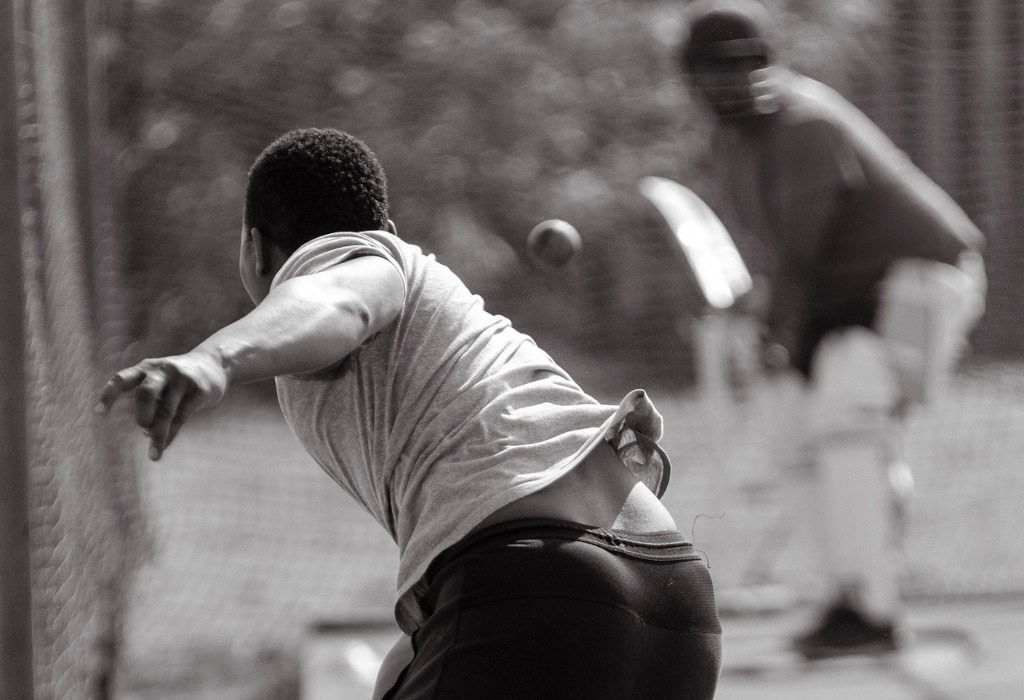 Cricket